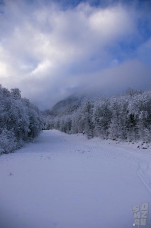   2009 12